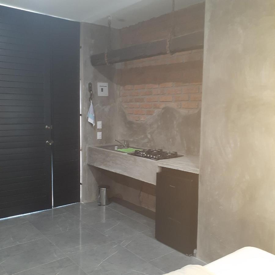 Loft Con Jardin 1 Apartment Puerto Vallarta