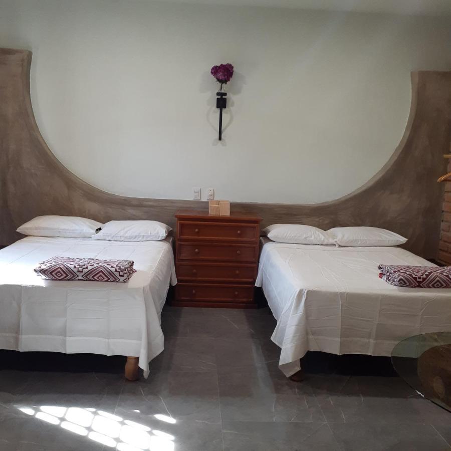 Loft Con Jardin 1 *