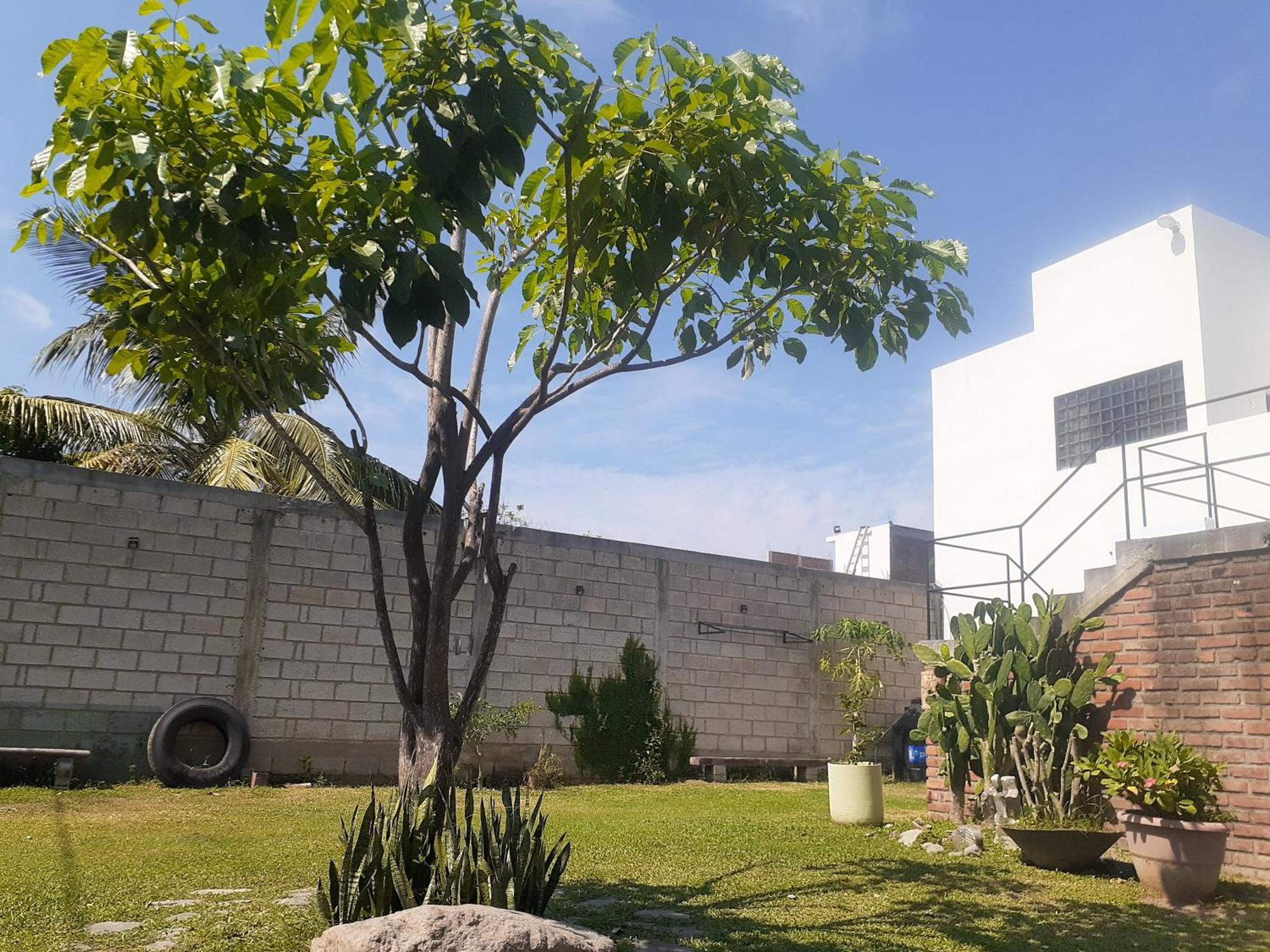 Loft Con Jardin 1 Apartment Puerto Vallarta