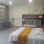 Loft con jardín 1